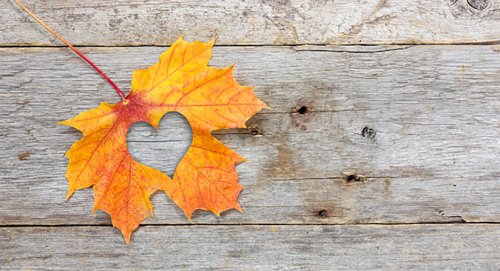 November Market Update