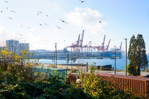 townhouses for sales vancouver east, townhouses Vancouver east