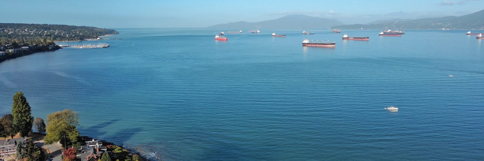 Love Where You Live!